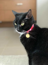 Load image into Gallery viewer, Mini Tags - Small Dogs + Cats!