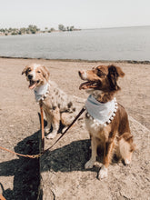 Load image into Gallery viewer, Santorini | Pet Bandana
