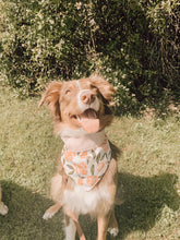 Load image into Gallery viewer, Marbella | Pet Bandana