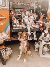 Load image into Gallery viewer, Holly Jolly | Plaid Pet Bandana