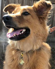 Load image into Gallery viewer, Howl At The Moon | Metal Pet ID Tag