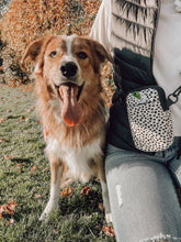 Load image into Gallery viewer, Walk Pouch