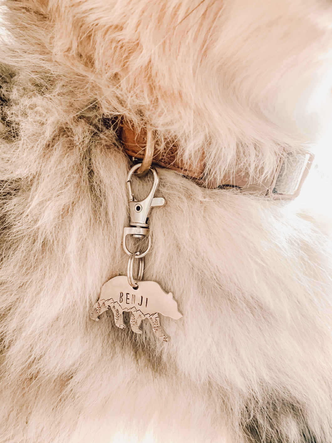 Bear In The Woods | Pet ID Tag