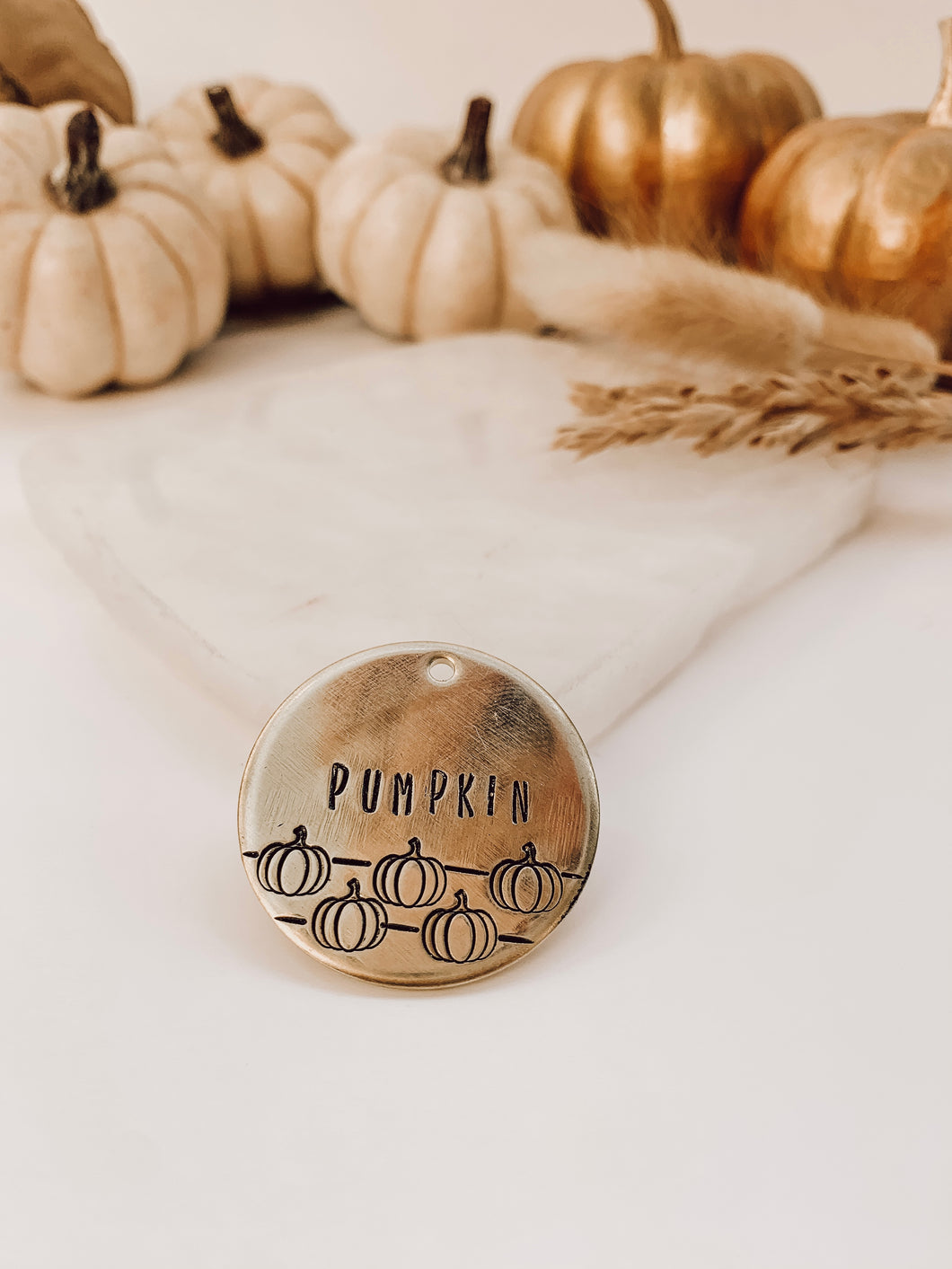 Pumpkin Patch | Metal Pet ID Tag