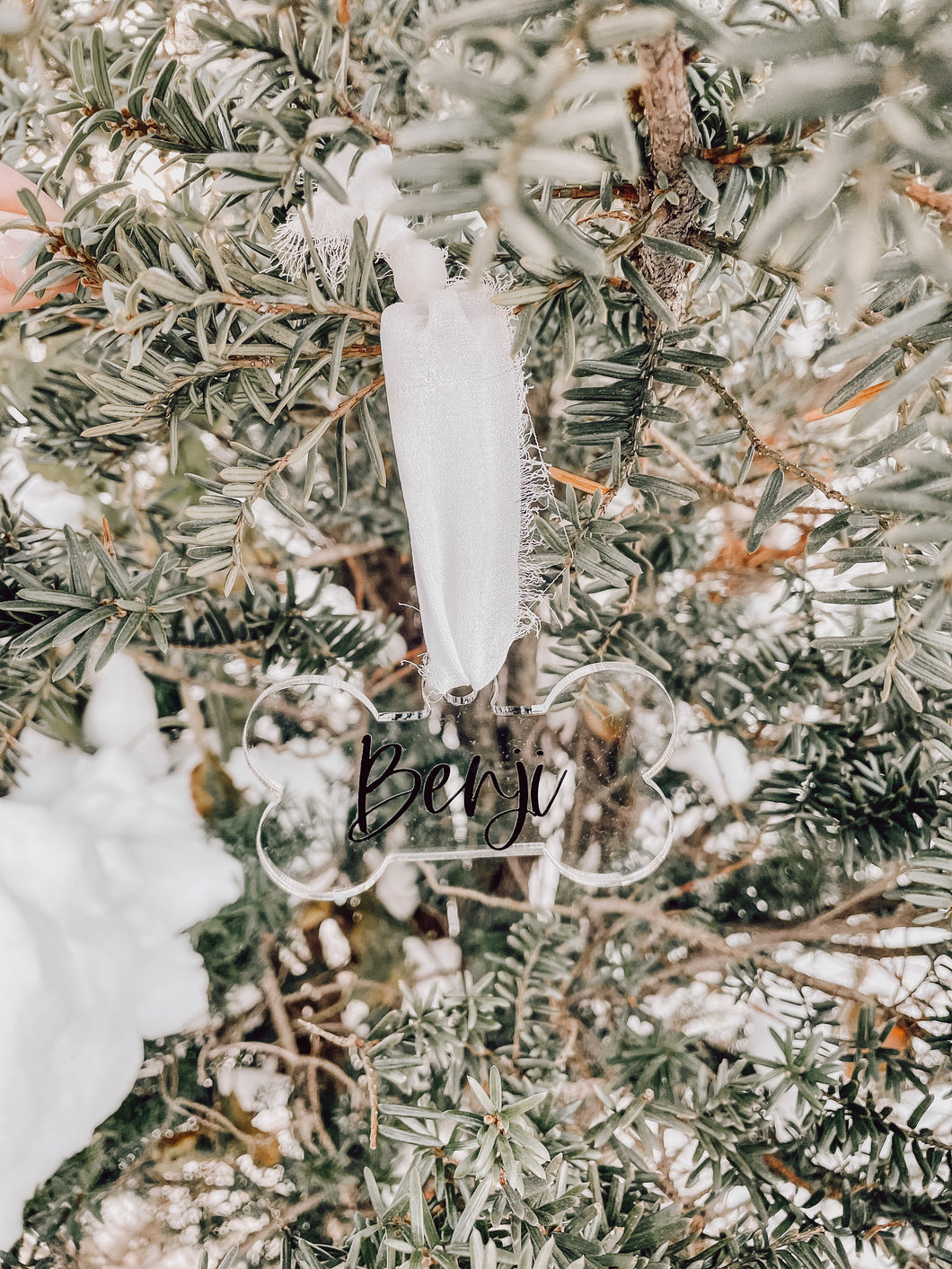 Personalized Acrylic Bone Shaped Ornament